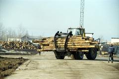 Деревоперерабатывающий завод построят корейцы в Краснотурьинске
