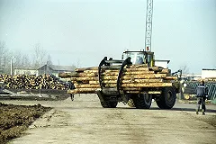 Деревоперерабатывающий завод построят корейцы в Краснотурьинске