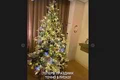 Собчак украсила дом елкой с торчащими ветками