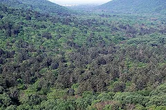 Трутнев: перепродать дальневосточный гектар китайцам не получится