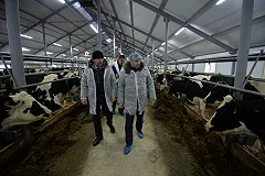 Газопровод, школьный стадион и животноводческий комплекс открыли под Алапаевском