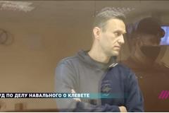 Навальный назвал членов владимирской ОНК «сборищем жуликов и лжецов»