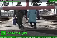 МИД направит Германии данные о захоронениях в Донбассе после слов Шольца