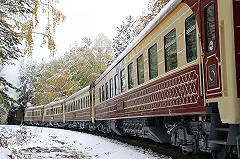 Свердловчанам предложили путешествие на один день на необычном поезде