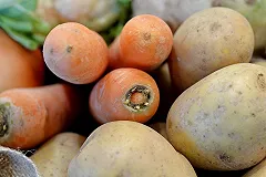 Правительство внесло законопроект о запрете на выращивание ГМО