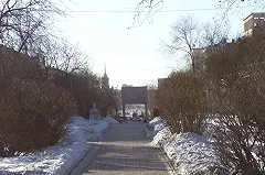 Работы по соединению улицы Татищева с Ленина начались в Екатеринбурге