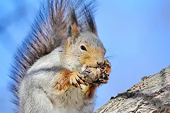 За год продукты в Свердловской области подорожали на 20%