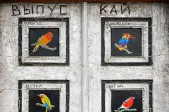 «Выпускай». Уличный художник обыграл политическую повестку на птичьем языке