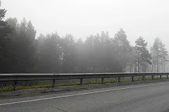 Кусок Калиновского лесопарка забрали под трамвайную линию к Верхней Пышме