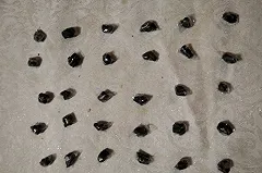 Изъяли 44 свёртка с героином: в Екатеринбурге задержали 21-летнего закладчика