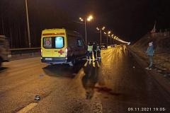 Хотел по-быстрому перебежать дорогу: на Московском тракте насмерть сбили пешехода