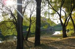 Градсовет рассмотрит концепции парков около «Дирижабля» и Дворца молодежи