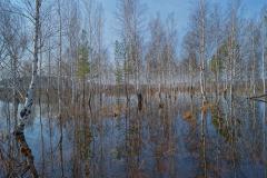 Екатеринбург готовится к наводнению. Созданы пункты временного размещения