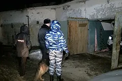 В Екатеринбурге задержан автоугонщик, пытавшийся похитить машину стоимостью более 3 миллионов рублей