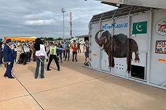 Екатеринбургская авиакомпания доставила в Камбоджу слона, спасённого певицей Шер