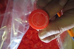 «Целый ж/д состав». На Урал привезли 4,5 миллиона крышек для производства «Кока-Колы» и «Фанты»