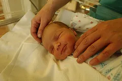 Рождаемость в Свердловской области снизилась на 6%