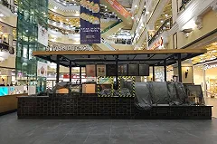 Место Starbucks в «Пассаже» займет сеть уральских кофеен