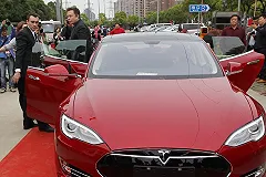 Голландец за рулём Tesla погиб после столкновения с деревом