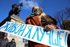 В Хабаровске прошел пикет зоозащитников с требованием наказать живодерок