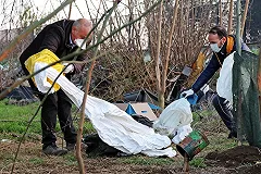 В Челябинске выяснили, кому принадлежат найденные на улице голова, руки и ноги