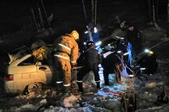 На Урале в ДТП с лесовозом погибли отец и двое младенцев