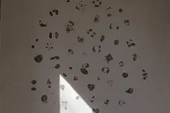 В Екатеринбурге вандалы «отковыряли» от стены арт-объект