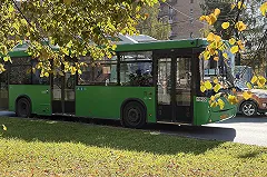 Силовики Екатеринбурга рассказали о распределении «ролей» в обезвреженной банде «гастролеров»