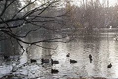 Три жилых дома в Екатеринбурге остаются без тепла из-за капремонта