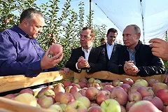 Путин отчитал власти за красивые формулировки и воззвал к реальности