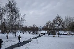 Эксперты УГЛТУ о вырубке сквера: «Экологические потери будут колоссальны»