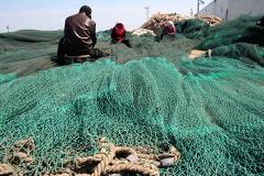 Россия сохраняет запрет на дрифтерный лов лосося