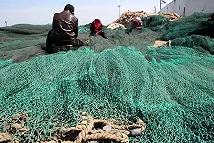 Россия сохраняет запрет на дрифтерный лов лосося