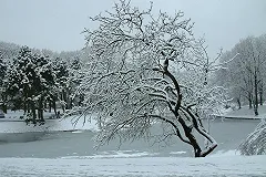 В Свердловской области в ближайшие дни ожидается сильный снегопад и штормовой ветер