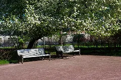 Жители Екатеринбурга выбрали имя для нового парка