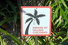 Российские туристы устроили бунт в отеле Пхукета