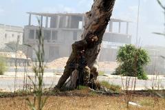 В ливийском Сирте снайпер застрелил голландского фотожурналиста