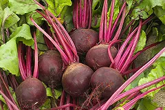 Исследователи: употребление свекольного сока и спорт делают мозг «моложе»