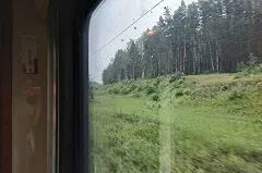 Жители Полевского района обвинили работников РЖД в природных пожарах