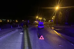 В Сухом Логу водитель «Гранты» насмерть сбил пенсионера, который стоял на дороге