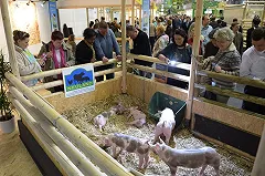 АПК РФ в 2016 г. не будет участвовать в агровыставке в Берлине