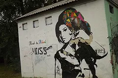 Уличный художник подарил «диванным воинам» портала Е1 рисунок полового члена