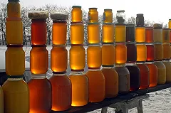 Ребёнок заплатил мошеннице 10 тысяч рублей за пару банок мёда в Верхней Пышме