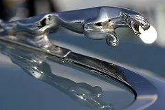 Автоцентр Jaguar хочет сделать подарок семьям мальчиков-беглецов из детсада