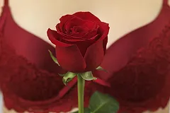 Свердловчанка принесла на свидание в колонию бутылку в нижнем белье