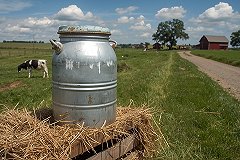 Закупочная цена молока на Урале оказалась в пять раз ниже магазинной