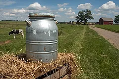 Закупочная цена молока на Урале оказалась в пять раз ниже магазинной