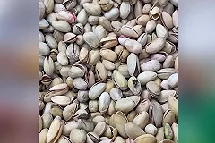 В Екатеринбурге в сетевом магазине тараканы бегают по продуктам