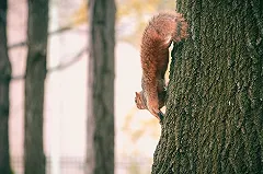 В Екатеринбурге закрыли рехаб, работавший на Юмашева под вывеской медцентра