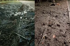 В недавно открытой Зелёной роще сломали деревья, испортили беговые дорожки и украли газон